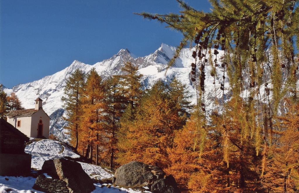 Waldrain 2 Lägenhet Saas Fee Exteriör bild